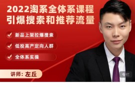 淘系全体系课程 新品上架拉爆搜索和推荐流量，低投高产定向人群