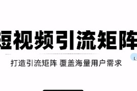 短视频引流矩阵打造，SEO+二剪裂变，效果超级好！【视频教程】