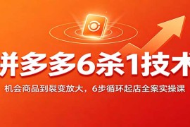 拼多多6杀1起店全流程实操：从机会商品布局到裂变放大的6步循环运营课