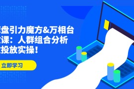 达摩盘引力魔方万相台投放课：人群组合分析，高效投放实操