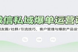 微信私域爆单运营课：朋友圈/社群/引流技巧，客户管理与爆款产品设计