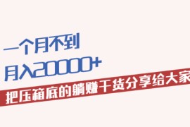  一个月不到，月入20000+把压箱底的躺赚干货分享给大家