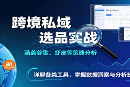 跨境私域选品实战：涵盖谷歌、虾皮等策略分析，详解各类工具，掌握数据洞察与分析技巧