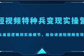 短视频特种兵变现实操营，从底层逻辑到实操细节，给你讲透短视频变现（价值2499元）