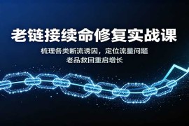 老链接续命修复实战课：梳理各类断流诱因，定位流量问题，老品救回重启增长