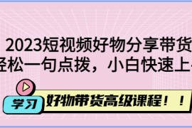 短视频好物分享带货，好物带货高级课程，轻松一句点拨，小白快速上手
