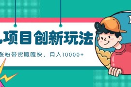育儿项目创新玩法，起号实操完整流程，涨粉带货嘎嘎快！月入10000+（全方位保姆式...