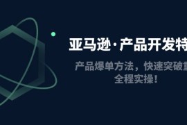 亚马逊产品开发特训营：产品爆单方法，快速突破重围，全程实操
