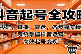 抖音起号全攻略，投流、直播、复盘，各步骤实操，系统掌握抖音运营，高效起号变现