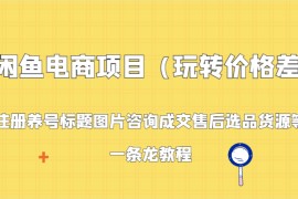 闲鱼电商项目（玩转价格差）：注册养号标题图片咨询成交售后选品货源等，一条龙教程