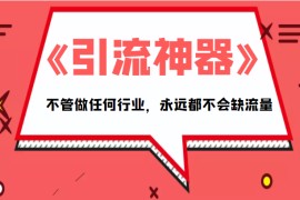 《引流神器》拥有这套系统化的思维，不管做任何行业，永远都不会缺流量（PDF电子书