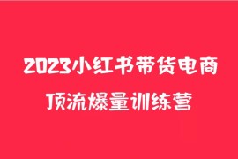 小红书电商爆量训练营，月入3W+！可复制的独家养生花茶系列玩法