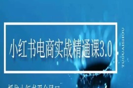 小红书电商实战精通课3.0，抓住小红书平台的风口，不错过有一个赚钱的机会