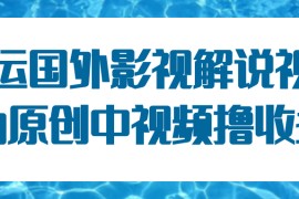 国外影视解说视频，批量下载翻译成中文伪原创，传中视频平台赚取收益