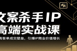文案杀手IP高端实战课：破高客单成交壁垒，引爆IP商业价值增长