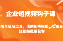 企业短视频钩子课-利用企业AI工具，借助矩阵模式，实现企业短视频批量获客