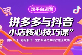 拼多多与抖音小店核心技巧课，图片设计、标题制作、定价规划与爆款打造全攻略