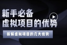 拆解虚拟项目5大优势，0基础教你打造月入上万虚拟店铺
