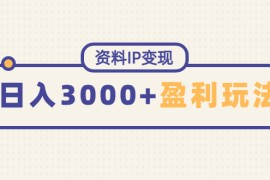 资料IP变现，能稳定日赚3000起的持续性盈利玩法
