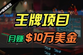 王牌项目月入10W美金，2024最新国外挂机撸U项目，全程无人值守，可批量放大！