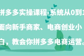 拼多多实操课程：系统从0到1，面向新手商家、电商创业小白，教会你拼多多电商运营。