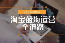 淘宝蓝海运营全链路，从选品到流量变现，小类目突围完整方案