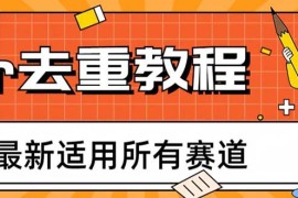 最新Pr深度去重适用所有赛道，一套适合所有赛道的Pr去重方法