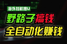 海外挂机撸U新平台，日赚15美元，全程无人值守，可批量放大，工作室内部项目！