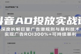抖音AD投放实战课，深度拆解巨量广告潜规则与暴利技术，实现广告ROI300%+可持续暴利