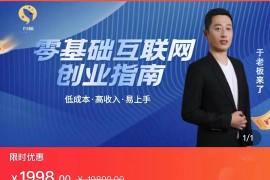 低成本互联网创业指南 零基础，低成本，高收入，易上手 一堂课搞懂互联网创业底层逻辑