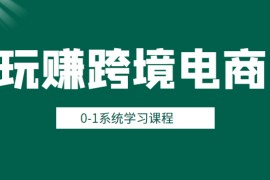 玩赚跨境电商之0基础课程，0-1系统学习课程（20节视频课）
