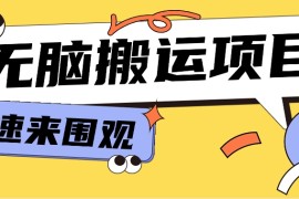 小红书虚拟项目，无脑搬运，零成本零门槛轻松月入3000+【视频教程+配套工具】