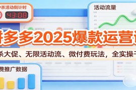 拼多多2025爆款运营课：秒杀大促、无限活动流、微付费玩法，全实操干货