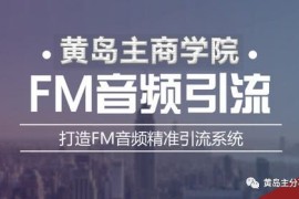 黄岛主《FM音频引流特训营1.0》亲身操作每天30-50量，转化超级高~【价值980元】