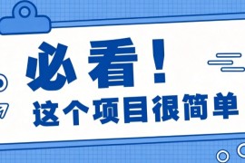 淘宝闪购一单20元，不用雄厚账号基础，不用复杂运营技巧，新手小白也能直接入局。