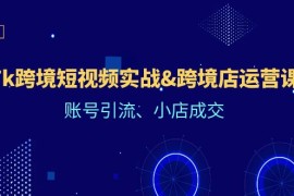 Tk跨境短视频实战，跨境店运营课：账号引流、小店成交