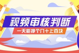 正规小项目，无人售货10秒视频审核判断，一天能挣个几十上百块！