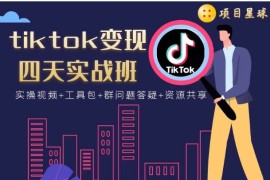 tiktok变现四天实战班，连怼技术+矩阵玩法赚美金！价值998元 