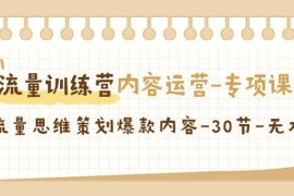 流量训练营之内容运营专项课，用流量思维策划爆款内容（30节课）