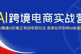 AI跨境电商实操营：0-1精通Al的真正有效电商玩法 卖家如何利用Al快速超车