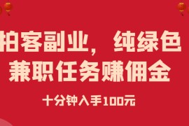 拍客副业，纯绿色兼职任务赚佣金，十分钟入手100元