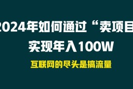 2024年如何通过“卖项目”实现年入100W