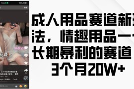 成人用品赛道新玩法，情趣用品一个长期暴利的赛道，3个月20W+