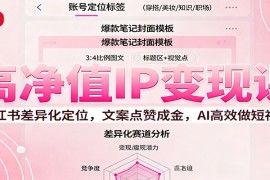 高净值IP变现课：小红书差异化定位，文案点赞成金， AI高效做短视频