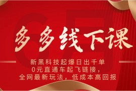 多多线下课：新黑科技起爆日出千单，0元直通车起飞链接，全网最新玩法，低成本高回报
