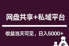 新用户推荐网盘共享+私域平台，无需粉丝即可轻松起号，收益当天可见，单日已破5000+