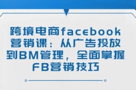 跨境电商facebook营销课：从广告投放到BM管理，全面掌握FB营销技巧