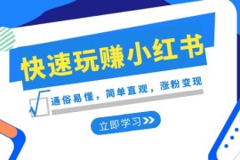  新赛道快速玩赚小红书：通俗易懂，简单直观，涨粉变现（35节课）