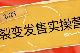 裂变发售实操营，全景解析裂变逻辑，打造动销新玩法，助力私域流量引爆