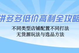 拼多多低价高利全攻略：不同类型店铺配置不同打法，无货源玩法与选品方法